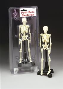 Petite Pete Skeleton
