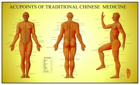 Acupoints of Traditional Chinese Medicine Chart