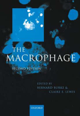 Macrophage - Click Image to Close