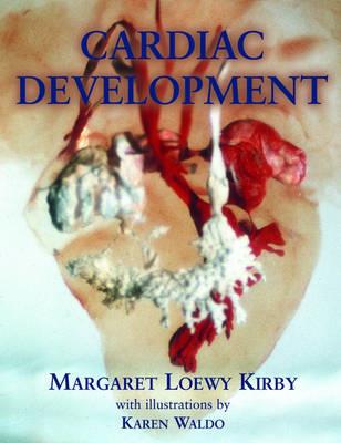 Cardiac Development - Click Image to Close