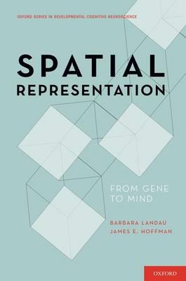 Spatial Representation - Click Image to Close