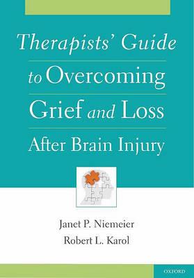 Therapists' Guide to Overcoming Grief and Loss After Brain Injury - Click Image to Close