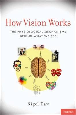 How Vision Works - Click Image to Close