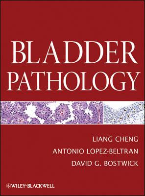 Bladder Pathology - Click Image to Close