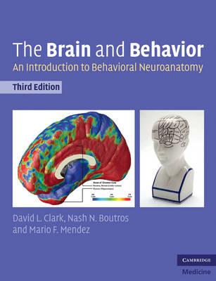 Brain and Behavior, The: An Introduction to Behavioral Neuroanatomy - Click Image to Close