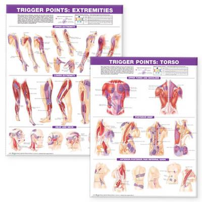 Trigger Point Chart Set: Torso amp; Extremities Lam - Click Image to Close