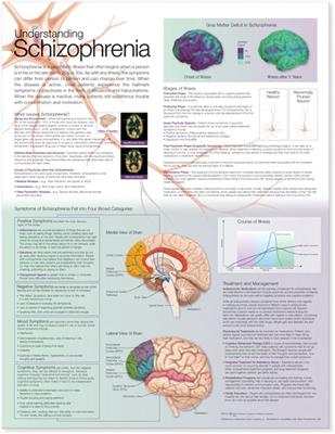 Understanding Schizophrenia Anatomical Chart - Click Image to Close