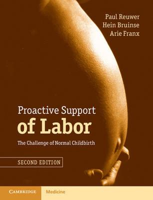 Proactive Support of Labor: The Challenge of Normal Childbirth - Click Image to Close
