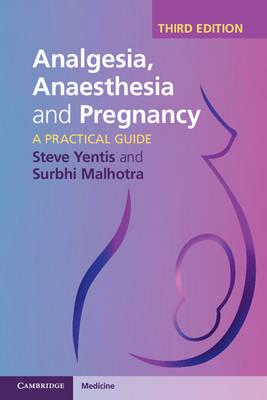 Analgesia, Anaesthesia and Pregnancy: A Practical Guide - Click Image to Close