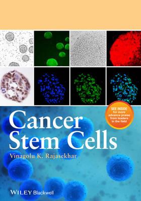 Cancer Stem Cells - Click Image to Close