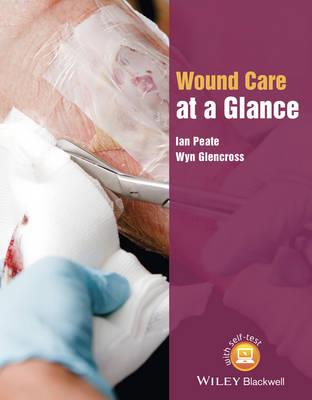 Wound Care at a Glance - Click Image to Close