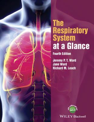 The Respiratory System at a Glance - Click Image to Close