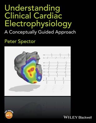 Understanding Cardiac Electrophysiology: A Conceptually Guided Approach - Click Image to Close