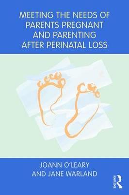 Meeting the Needs of Parents Pregnant and Parenting After Perinatal Loss - Click Image to Close