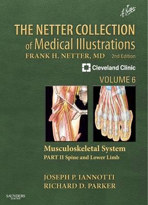 Netter Collection of Medical Illustrations: Musculoskeletal System, The: Volume 6, Part II: Spine and Lower Limb - Click Image to Close