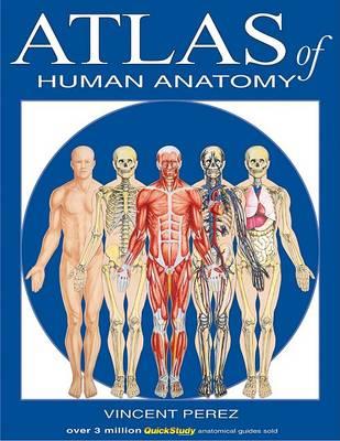 Atlas of Human Anatomy - Click Image to Close