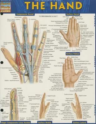  The Hand