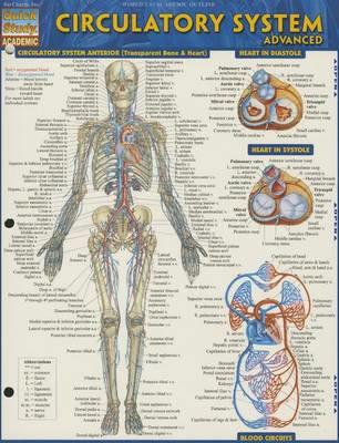 Circulatory System Advanced - Click Image to Close