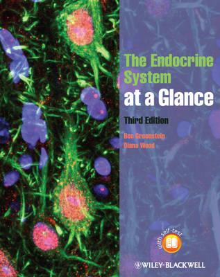 Endocrine System at a Glance, The - Click Image to Close