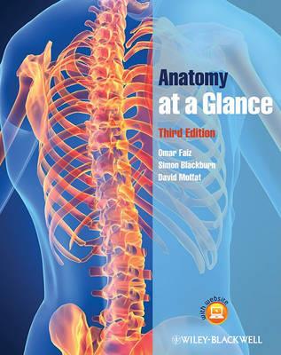 Anatomy at a Glance - Click Image to Close