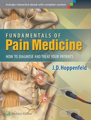 Fundamentals of Pain Medicine - Click Image to Close