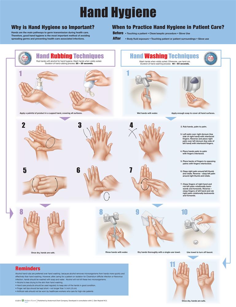 Hand Hygiene, None, First Edition Laminated chart only - Click Image to Close