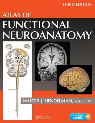 Atlas of Functional Neuroanatomy - Click Image to Close