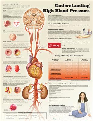 Understanding High Blood Pressure - Click Image to Close