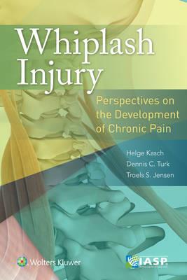 Whiplash Injury: Perspectives on the Development of Chronic Pain - Click Image to Close