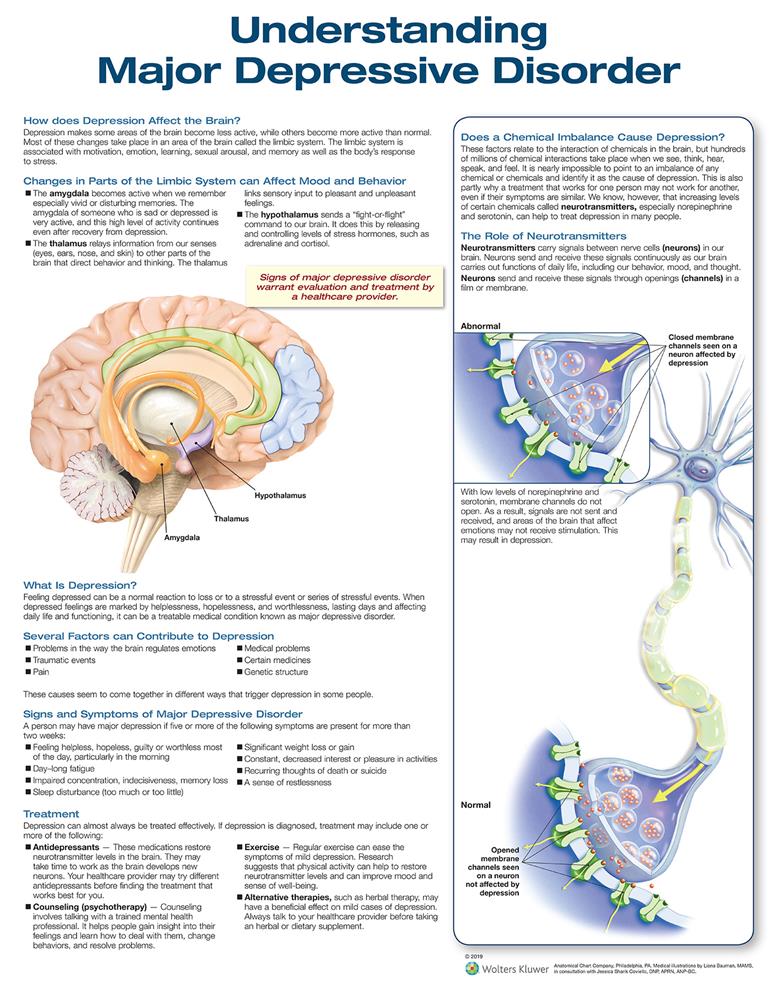 Understanding Major Depressive Disorder - Click Image to Close