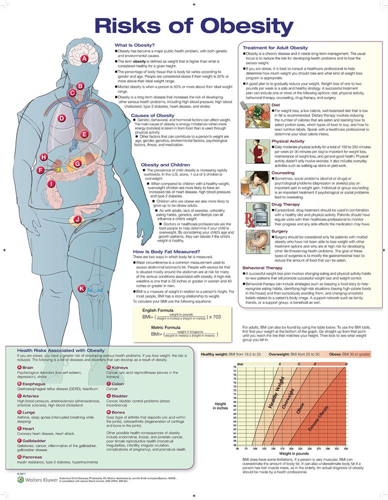 Risks of Obesity - Click Image to Close