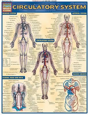 Circulatory System - Click Image to Close