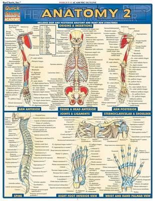 Anatomy 2 - Reference Guide - Click Image to Close