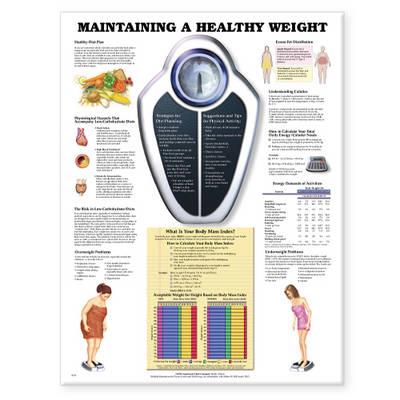 Maintaining A Healthy Weight - Click Image to Close