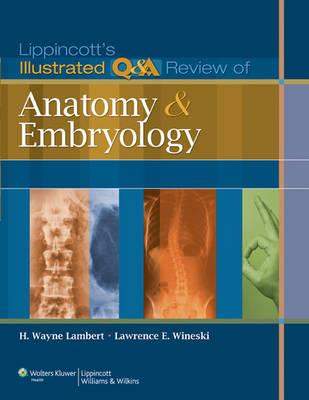 Lippincott's Illustrated Qamp;A Review of Anatomy and Embryology (Lippincott Illustrated Reviews Series) - Click Image to Close