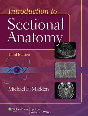 Introduction to Sectional Anatomy - Click Image to Close