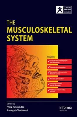 The Musculoskeletal System - Click Image to Close