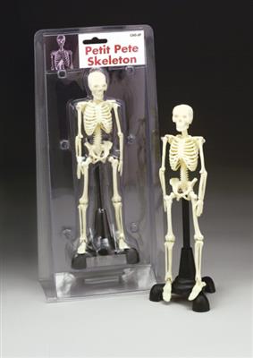 Petite Pete Skeleton - Click Image to Close