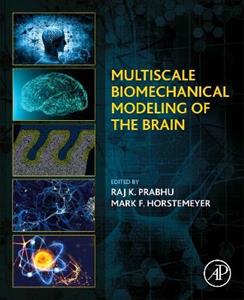 Multiscale Biomechanical Modeling of the Brain - Click Image to Close