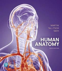 Human Anatomy - Click Image to Close