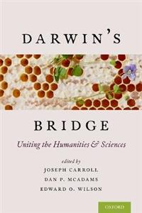 Darwin's Bridge - Click Image to Close