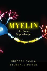 Myelin - Click Image to Close