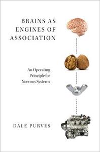 Brains as Engines of Association