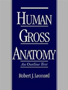 Human Gross Anatomy