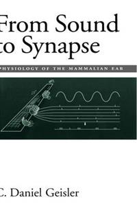 From Sound to Synapse