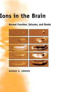 Ions in the Brain - Click Image to Close