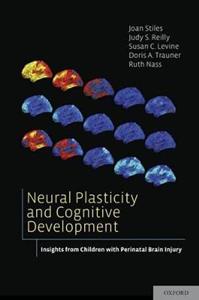 Neural Plasticity and Cognitive Development - Click Image to Close