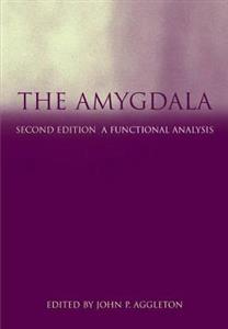The Amygdala - Click Image to Close