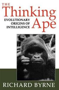 The Thinking Ape - Click Image to Close