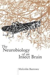 The Neurobiology of an Insect Brain - Click Image to Close